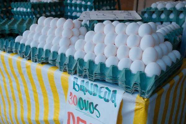 Top Must-Have Features of a Portable Dishwasher Perfect for RV Adventures